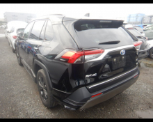 Toyota RAV4 2023
