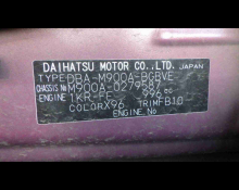 Toyota Tank 2019
