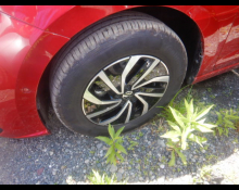 Volkswagen Polo 2024