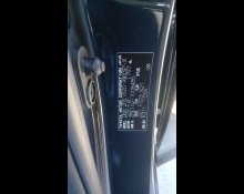 Toyota Corolla Fielder 2019