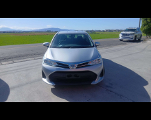 Toyota Corolla axio 2019 For Sale and Price