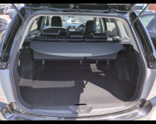 Toyota Corolla Fielder 2010