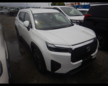 Used Honda Wr-v Cars For Sale in Japan