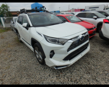 Used Toyota Rav4 Cars For Sale in Japan