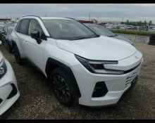 Used Toyota Rav4 Cars For Sale in Japan