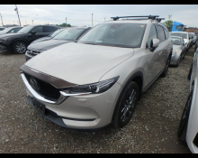 Mazda CX-8 2022