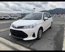 Toyota Corolla Fielder 2020