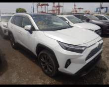Used Toyota Rav4 Cars For Sale in Japan