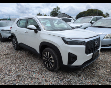 Used Honda Wr-v Cars For Sale in Japan