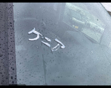 Daihatsu Move 2019