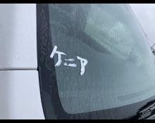 Honda N-WGN 2019