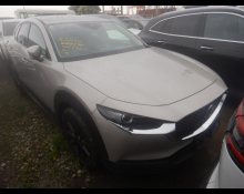 Used Mazda Cx-3 Cars For Sale in Japan