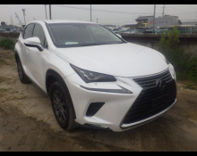 Used Lexus Cars For Sale in Japan At Best Price