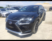 Lexus NX 2018