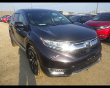 2014 to 2024 Used Cars For Sale In Japan