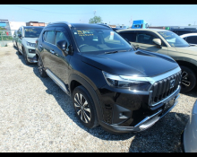 Used Honda Wr-v Cars For Sale in Japan