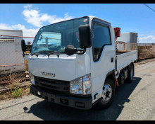 Isuzu Elf 2021