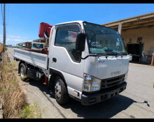 Isuzu Elf 2021