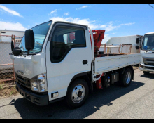 Isuzu Elf 2021