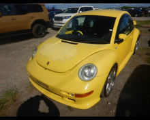 Volkswagen New Beetle 2002