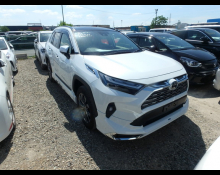Used Toyota Rav4 Cars For Sale in Japan