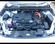 Toyota RAV4 2025