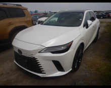 Lexus RX 2024