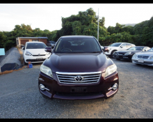 Toyota Vanguard 2010