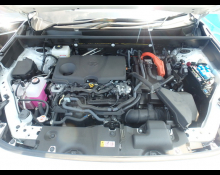 Toyota RAV4 2025