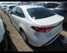Toyota Corolla 2024