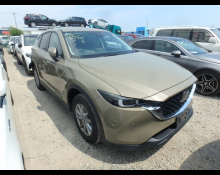 Used Japanese Cars For Sale At Best Price