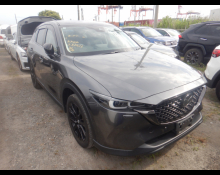Used Japanese Cars For Sale At Best Price