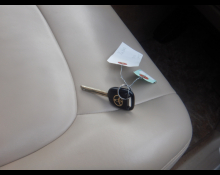 Toyota Land Cruiser 1999