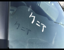 Honda Shuttle 2019