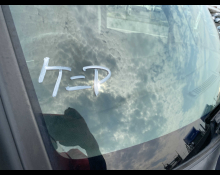Toyota Tank 2019