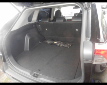 Toyota RAV4 2022