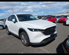 Used Japanese Cars For Sale At Best Price