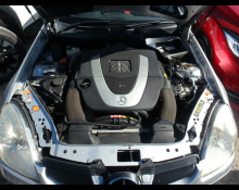 Mercedes Benz SLK 2005