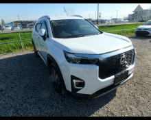 Used Honda Wr-v Cars For Sale in Japan