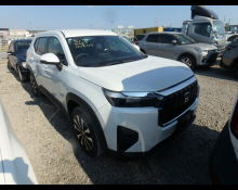 Used Honda Wr-v Cars For Sale in Japan