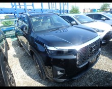 Used Honda Wr-v Cars For Sale in Japan