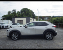 Mazda CX-30 2022