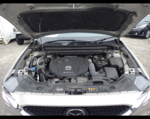 Mazda CX-8 2022