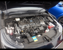 Toyota Corolla Sport 2022
