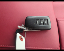 Lexus RX 2022