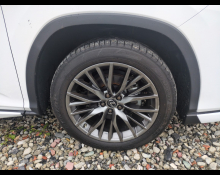 Lexus RX 2022