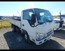Used Isuzu Elf Cars For Sale in Japan