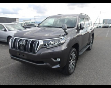 Toyota Land Cruiser Prado 2021