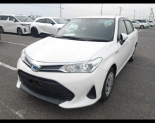 Toyota Corolla Axio 2020