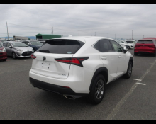 Lexus NX 2019